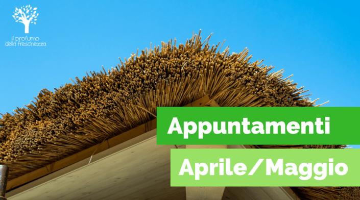 appuntamenti all'ortodidattico