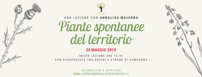 PIANTE SPONTANEE del territorio 20 maggio 2019