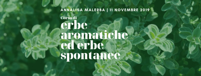 erbe spontanee d'autunno