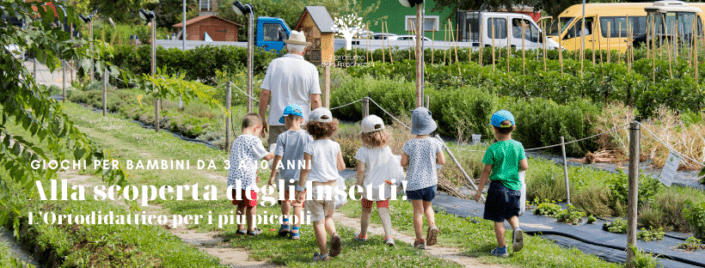 alla scoperta degli insetti attività per bambini