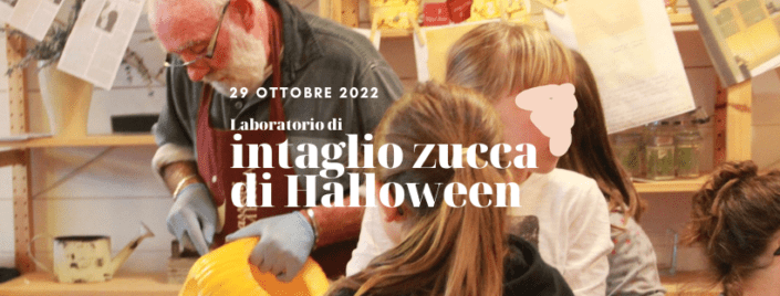 Laboratorio di intaglio zucca di Halloween a rovigo